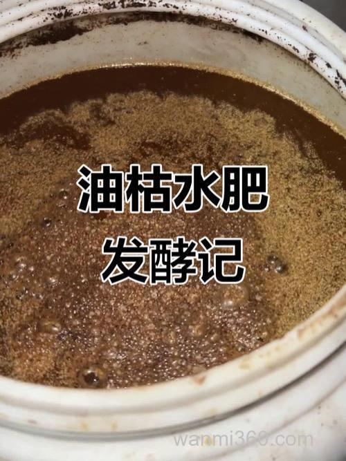 油枯和豆渣一起的发酵比例?