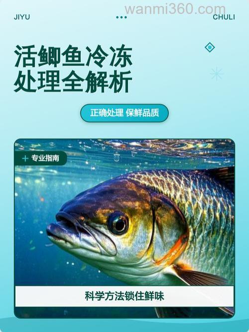 鲫鱼冷冻后,还可以吃吗?其肉质与冷冻前相比,口感上有何变化?