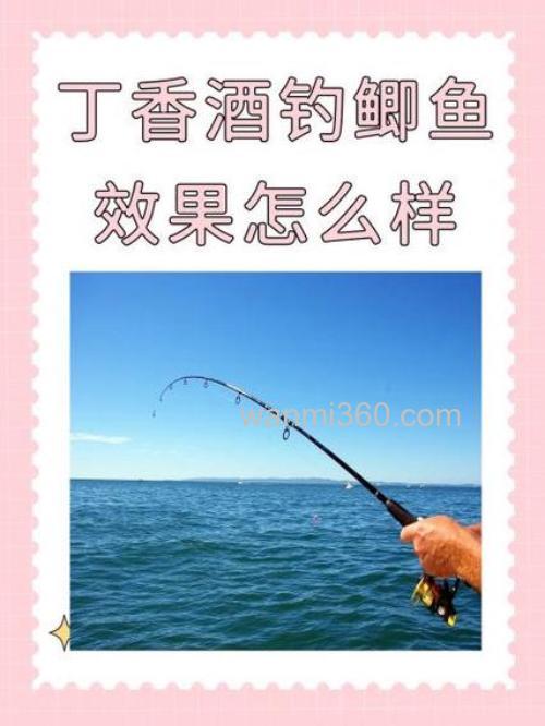 丁香油钓鱼开饵的正确方法？