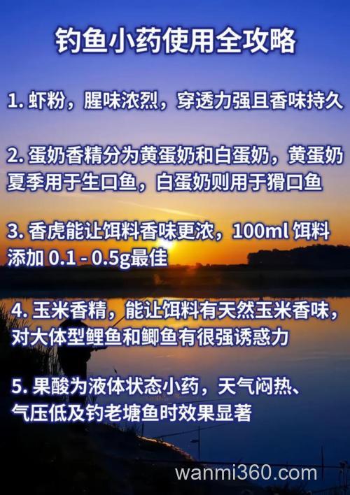 钓鱼小药怎样根据天气调整