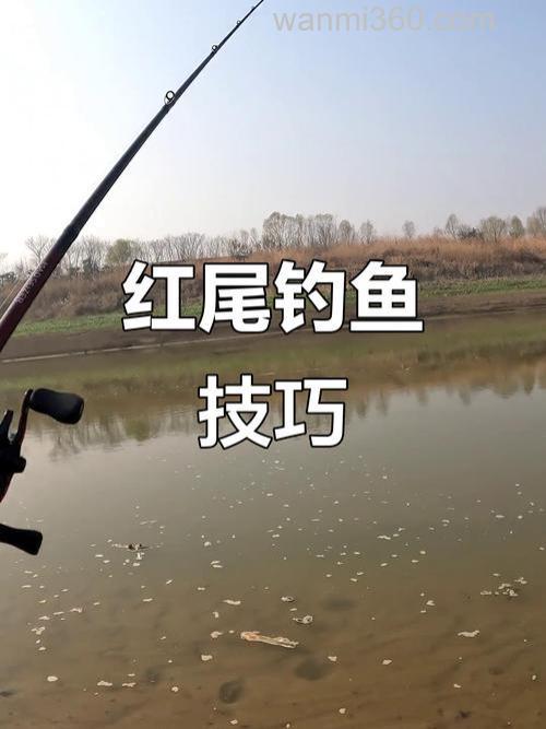 钓红尾的配方？