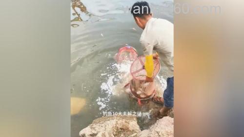 为什么大多数喜欢钓鱼的人却不喜欢吃鱼?