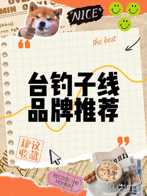 钓线子线哪个品牌比较好点
