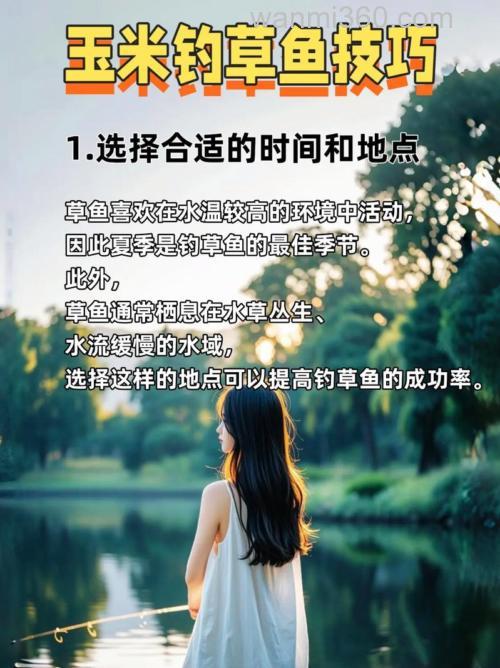 钓草鱼用玉米如何钓?
