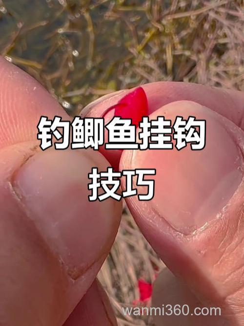 有什么办法可以使鱼钩能够挂酒米钓鱼？