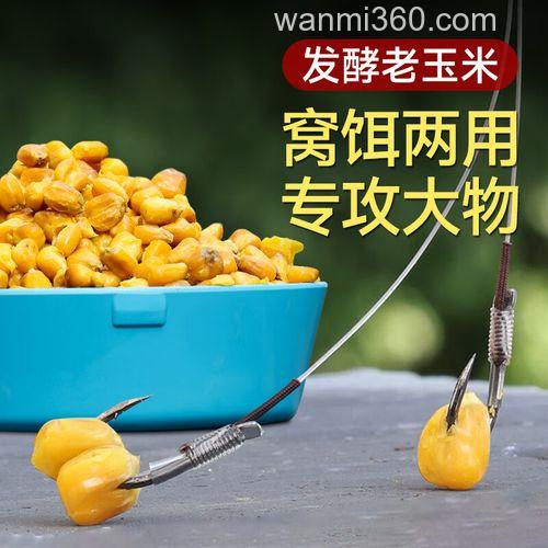 玉米粒能做钓鱼的窝料吗