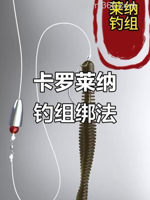 看看职业选手如何看待卡罗莱纳钓组