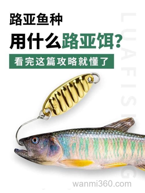 钓鱼用什么牌子的鱼饵好?