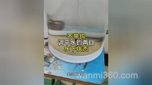 不带钩调平水钓2目鱼钩在水下的状态？