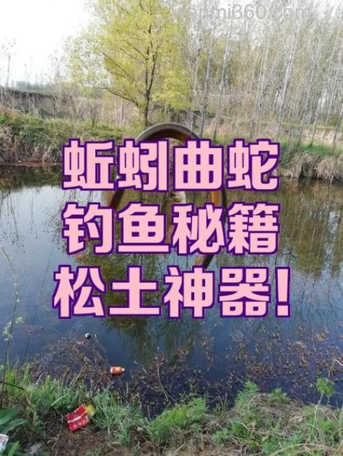 钓鱼的曲六是什么