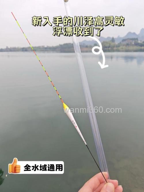 鱼咬钩的动作有哪些?鱼咬钩鱼漂是什么样的?