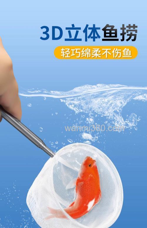 网鱼用什么做诱饵?