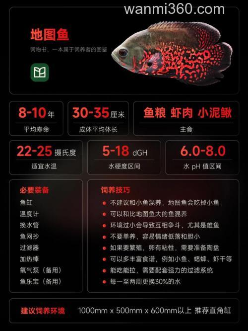 可以给地图鱼喂生猪肉吗?