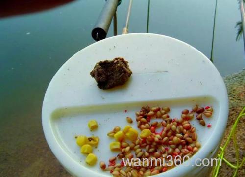 嫩麦粒钓鱼泡制方法?