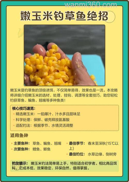 草鱼玉米钓法？