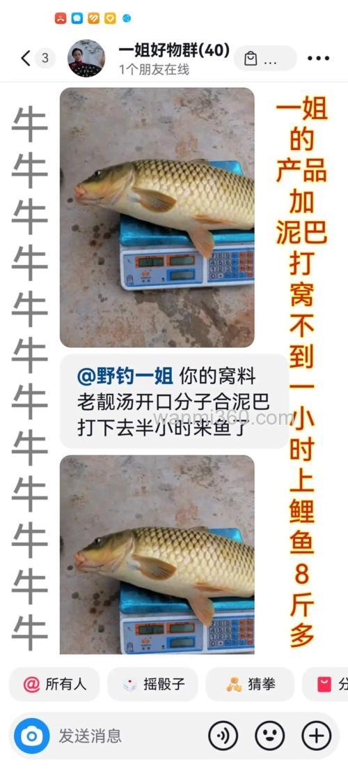钓草鱼打窝技巧