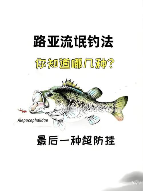 简单说路亚中的JIG钓法中线重感知为何物