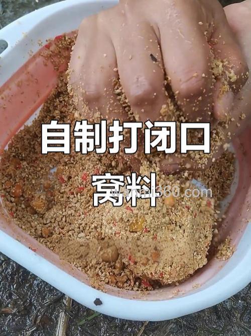 鲤鱼窝料自制配方进窝快?