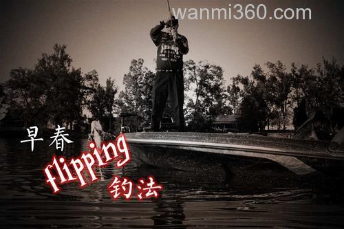 早春flipping钓法之细节