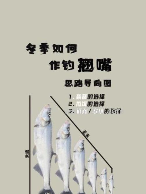 冬季路亚BASS小贴士