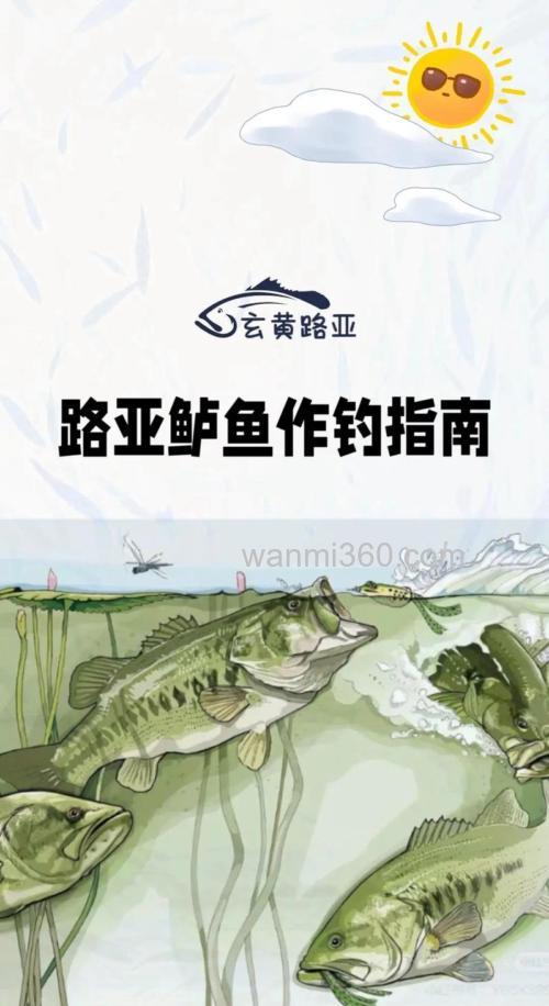跟随Joe Everett体验大嘴黑鲈鱼的路亚作钓经验