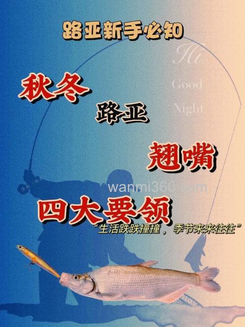 翘嘴草鱼冬天钓法?