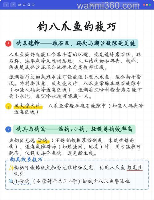 江苏沿海钓八爪鱼攻略,钓点选择及操作技巧大揭秘