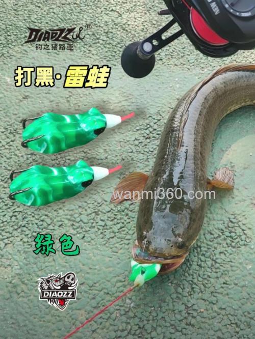 钓黑鱼或者草鱼用什么饵料好?