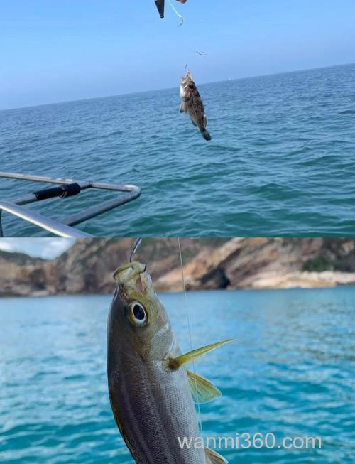 冬天海钓:摄影绝佳时机,掌握技巧留住精瞬间!器材咋选?