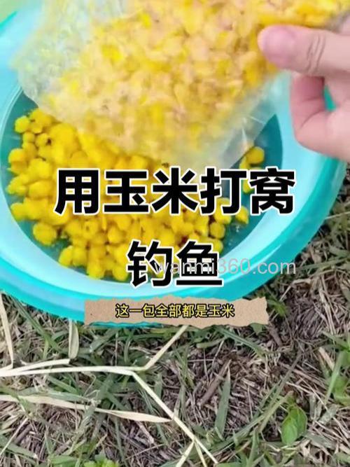 商品饵打窝玉米钓鱼效果怎么样?
