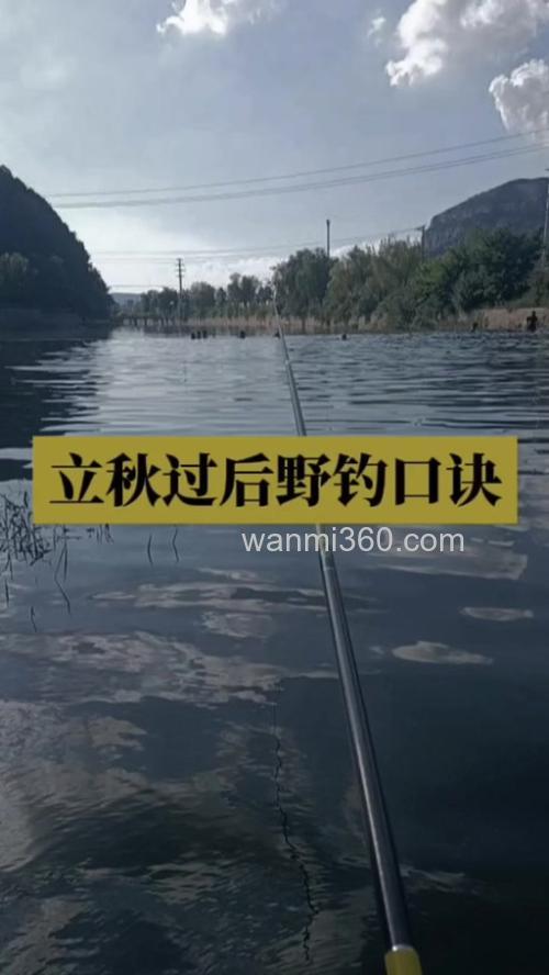 立秋后如何垂钓鲤鱼