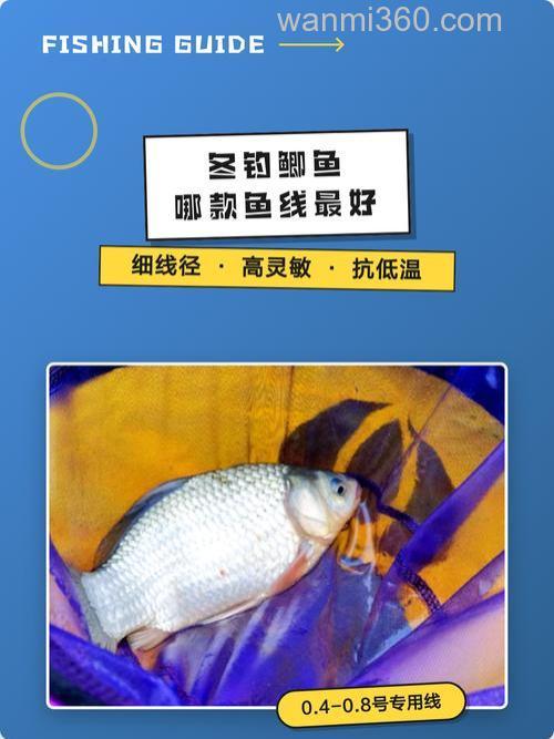 钓鲫鱼用什么鱼线最好