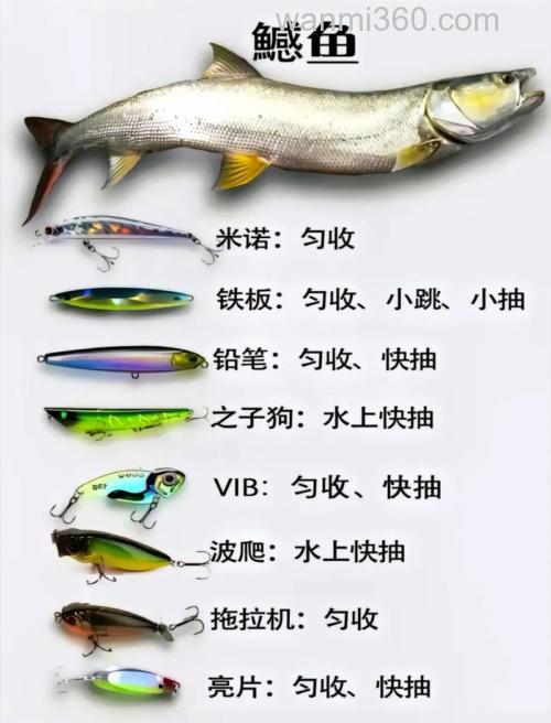 国内路亚对象鱼对应路亚饵的范围