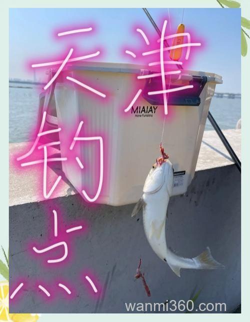 天津海钓打窝超关键!掌握技巧提升上鱼概率,速看实用方法