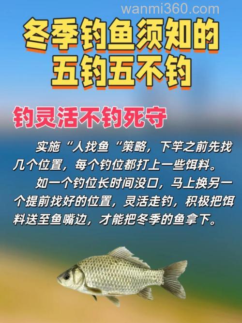 收好！钓鱼大师不愿公开的野钓秘密