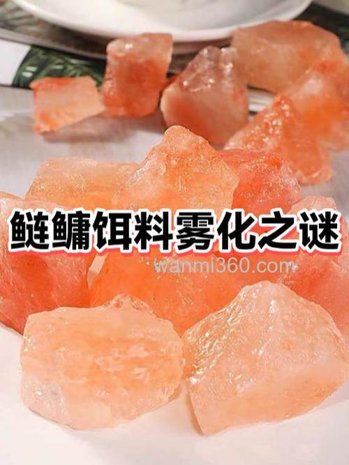 钓鲢鳙饵料雾化太快怎么办?