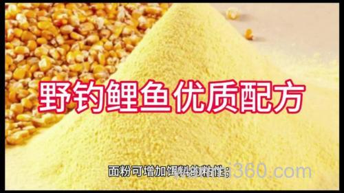 玉米钓鲤鱼配方
