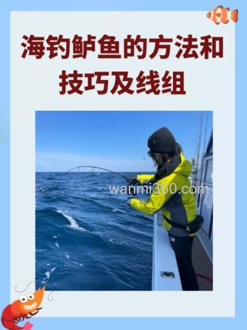 近海铁板钓鲈鱼的难点与趣味,装备采选及操作方法全解析