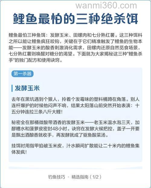 鲤鱼最怕三种饵?