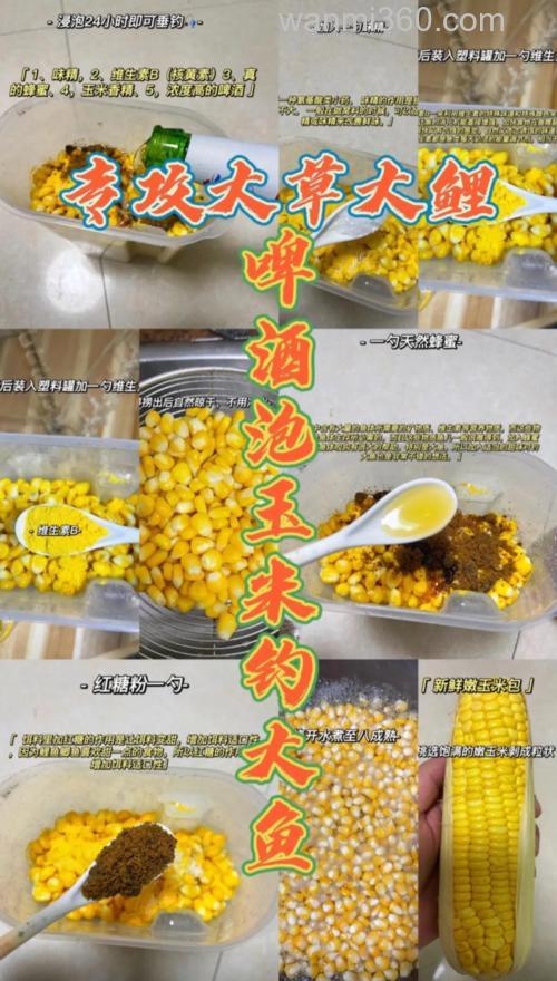 怎么用玉米粒泡酒制作鱼食