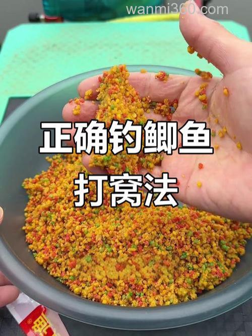 钓鲫鱼用什么窝料打窝最好,提前多久打窝好