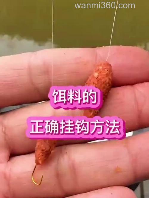 商品鱼饵料，怎样才挂钩久？