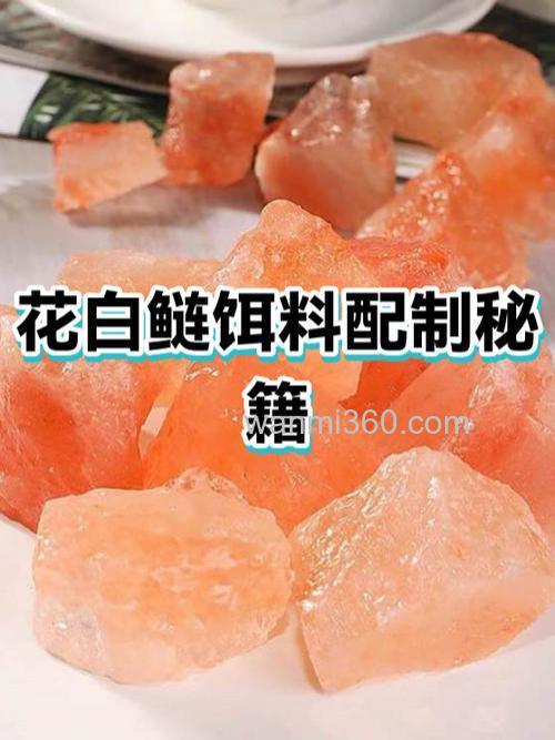 鲢鱼饵料怎么发酵 最好 详细点