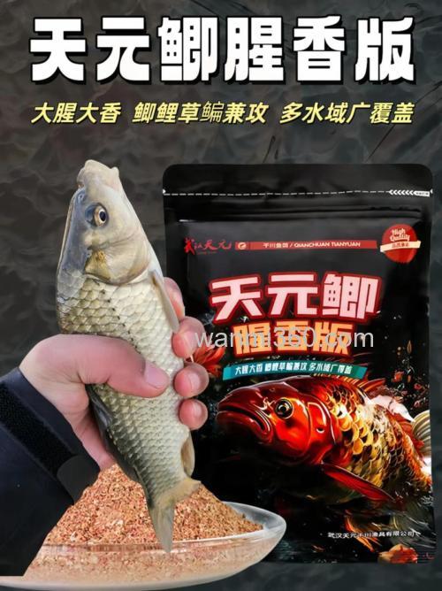 用钓鱼王疯钓鲫浓香和天元鲫鱼套餐野钓鲫鱼效果
