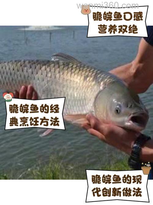 皖鱼用什么饵最好钓到?