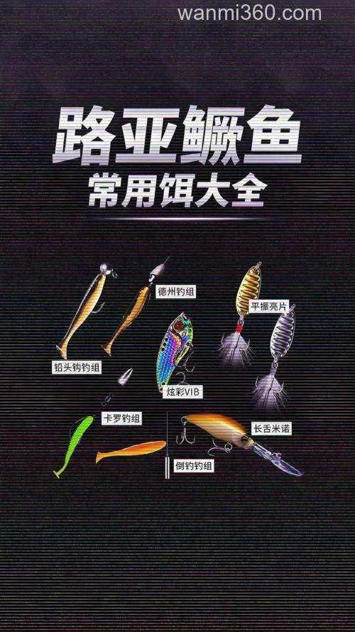 鳜鱼饵推荐?