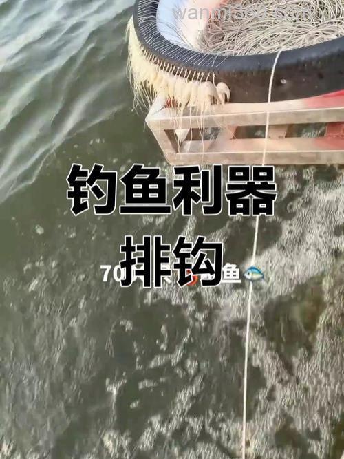 排钩用什么鱼饵?