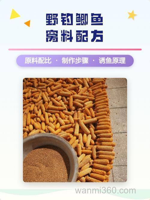 怎样做鲫鱼窝料