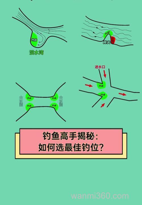 台钓的核心技巧与钓位选择,你知道多少?快来看看