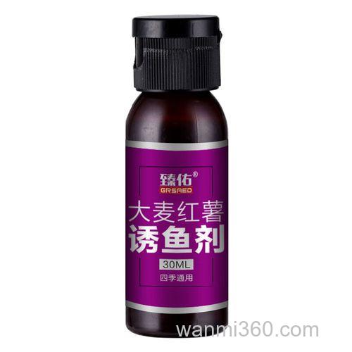 大麦红薯膏冬天钓鱼好吗？